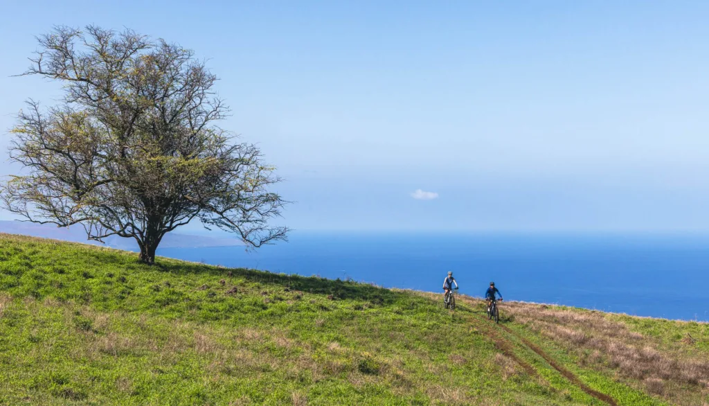 Private helicopter tour showcasing Maui’s landscapes