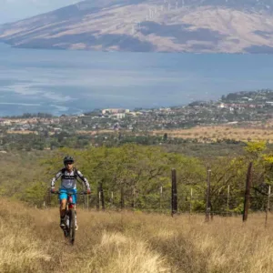 Tourists exploring Maui’s scenic landscapes on a grand tour