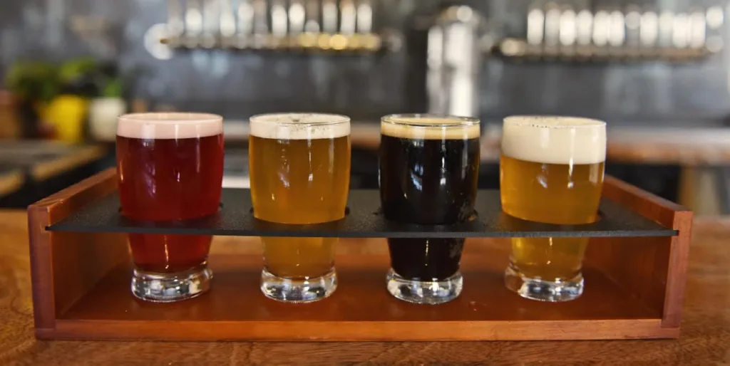 Group enjoying brewery tour with local beer tasting