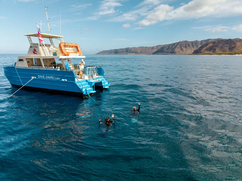 Natural reef teeming with fish near Wai'anae coast