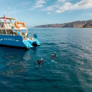 Natural reef teeming with fish near Wai'anae coast