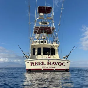 Full day boat charter cruising around scenic island waters