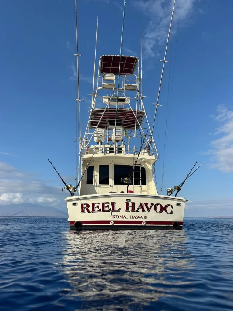 Full day boat charter cruising around scenic island waters