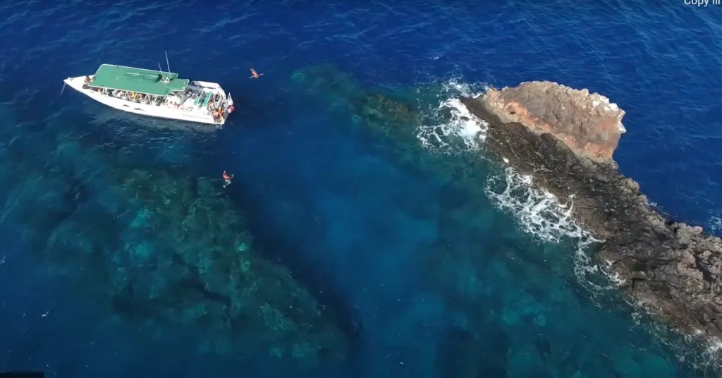 Snorkelers exploring coral reefs with sea scooters
