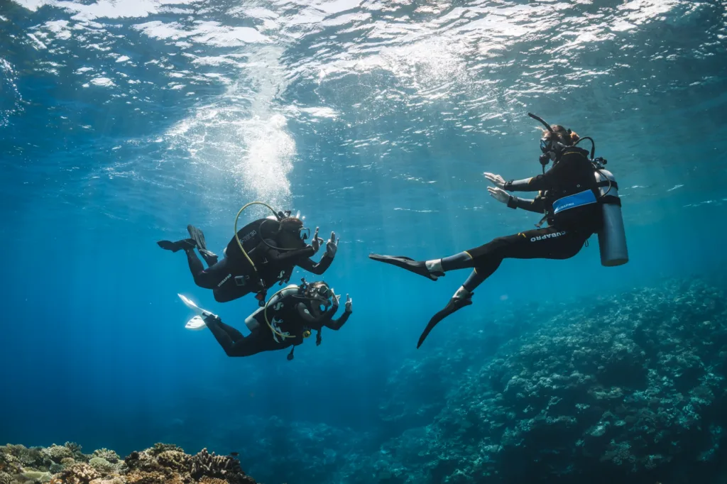 Scuba diver preparing to enter ocean for dive