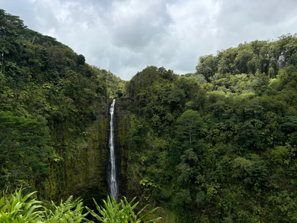 Scenic views along Hāmākua coastline near Akaka Falls
