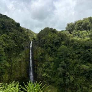 Scenic views along Hāmākua coastline near Akaka Falls