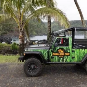 Jeep tour along scenic Road to Hana with island views