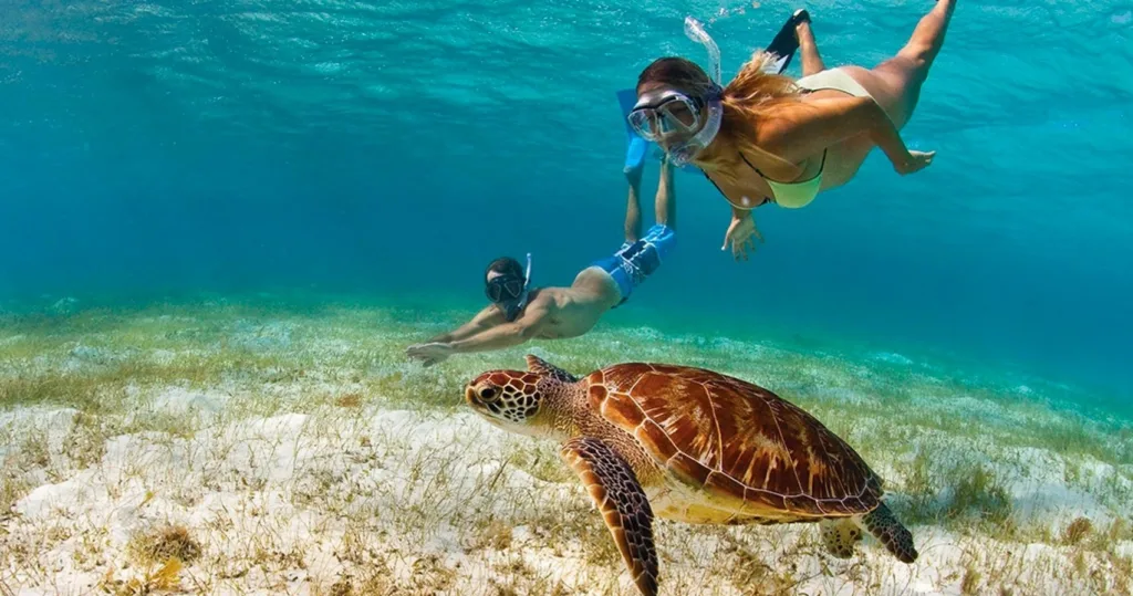 Private Oahu tour with snorkeling and turtle encounters