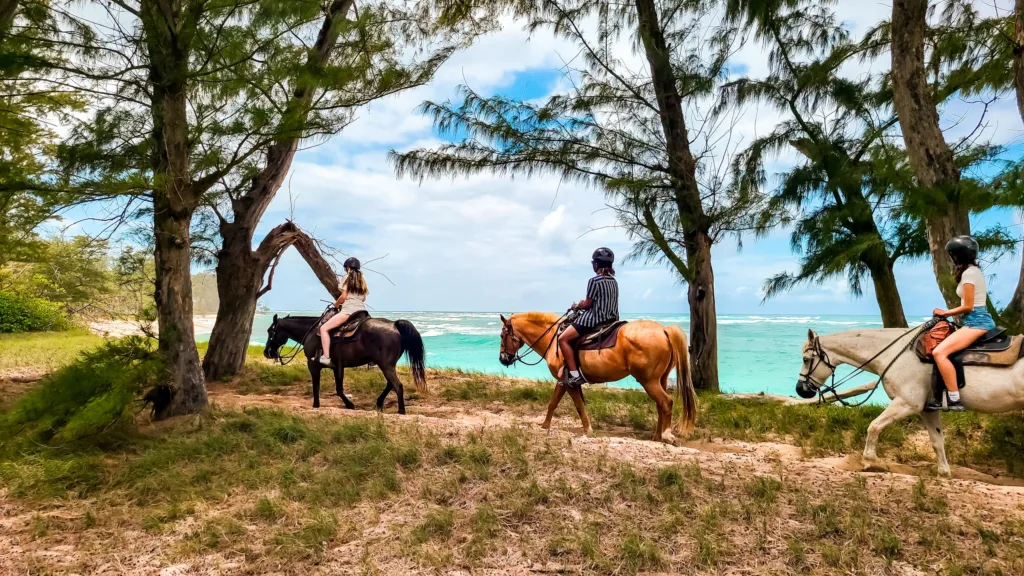 Group horseback riding along oceanfront trails on Oahu
