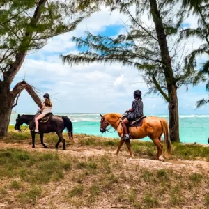 Group horseback riding along oceanfront trails on Oahu