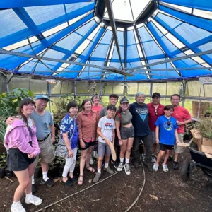 People walking through historic island town on tour