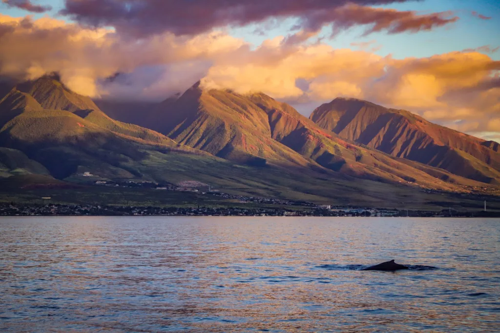 Early morning sail along Maui's Na Pali Coast