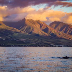 Early morning sail along Maui's Na Pali Coast