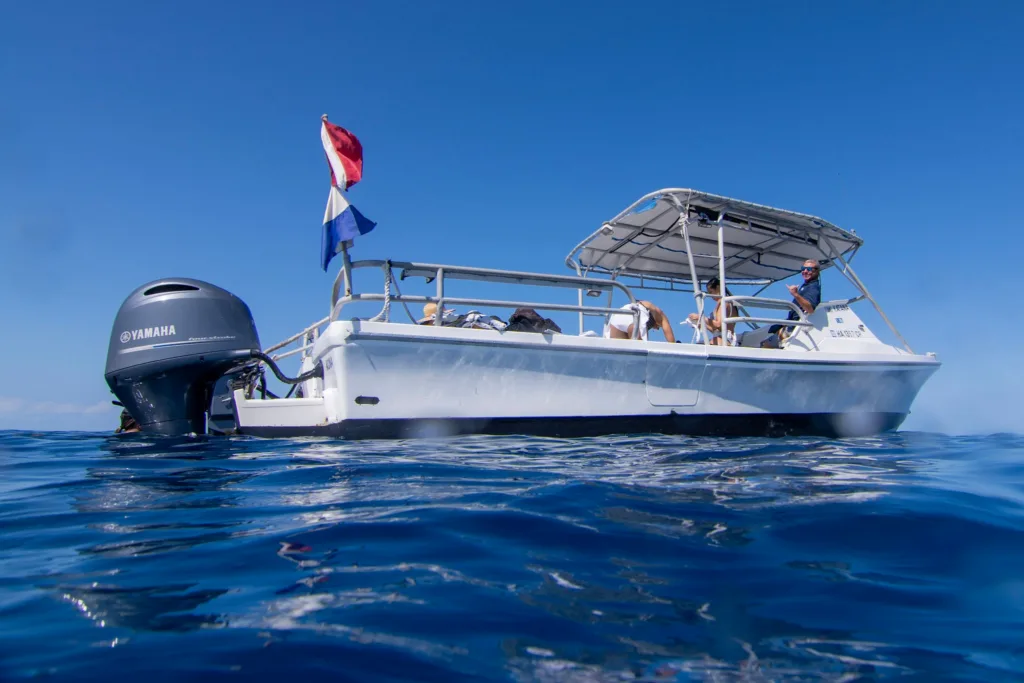 Group snorkeling near colorful coral reefs off Kona coast