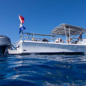 Group snorkeling near colorful coral reefs off Kona coast