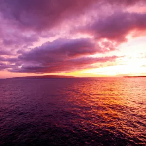 Kayakers watching whales during golden hour paddle
