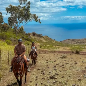 Picnic setup with mountain vista and sunshine backdrop