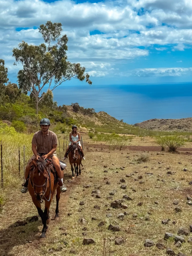 Picnic setup with mountain vista and sunshine backdrop