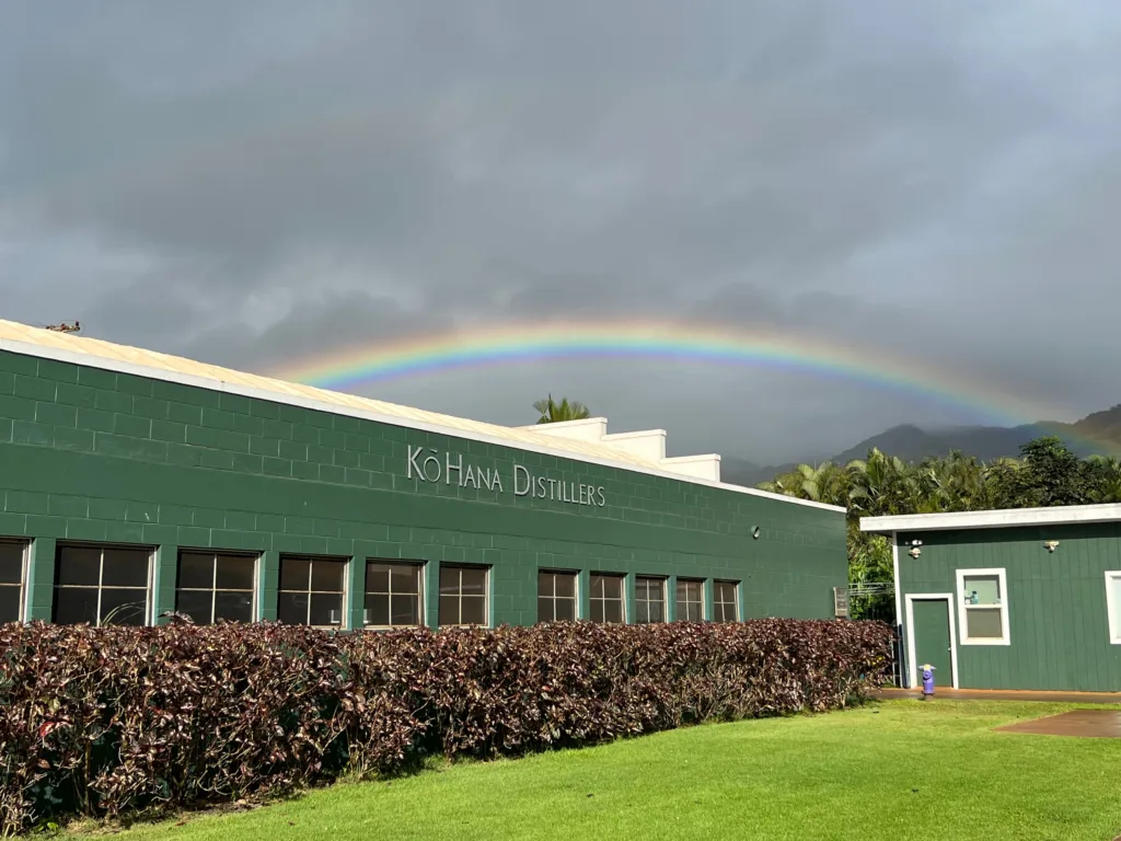 Adventure seekers ziplining near the Dole Plantation and rum distillery