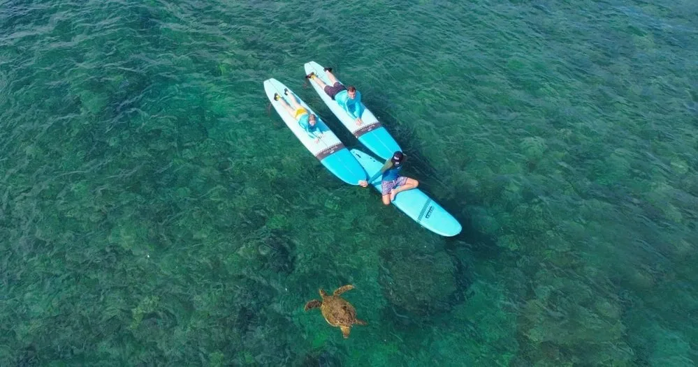Family enjoying Ohana surf lesson together in warm water