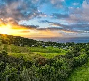 Tourists exploring the lush Lilikoi Patch farm grounds