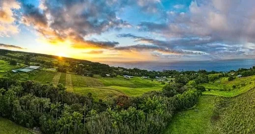Tourists exploring the lush Lilikoi Patch farm grounds