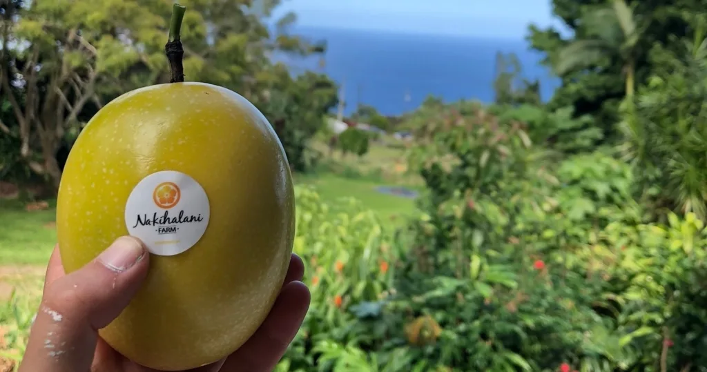 Private farm tour with fresh lilikoi tasting and lunch