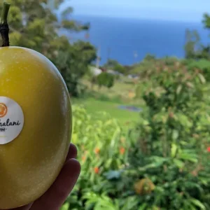 Private farm tour with fresh lilikoi tasting and lunch