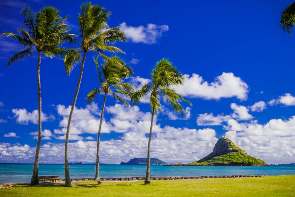 Scenic views along the Grand Oahu Circle Island route