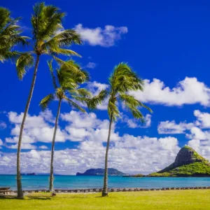 Scenic views along the Grand Oahu Circle Island route