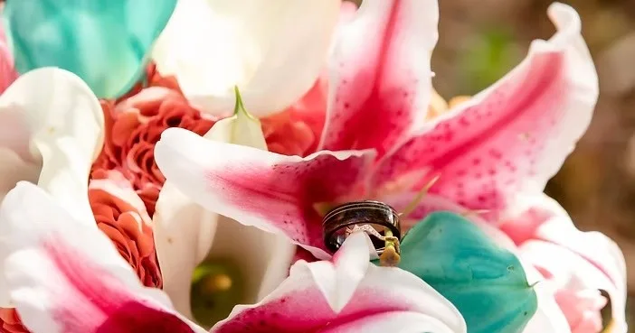 Golden sunset view from Maui island tour