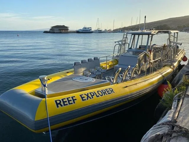 Private boat charter for ash scattering ceremony at sea