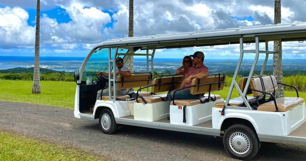 Visitors exploring tropical trees on chocolate tasting tour
