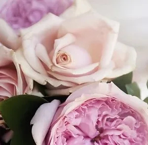 Hau Package tour group exploring a tropical island