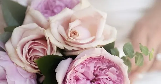 Hau Package tour group exploring a tropical island