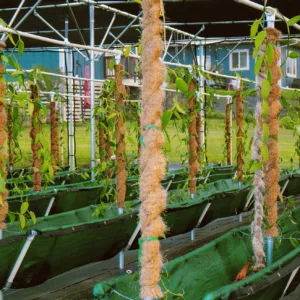 Visit a local farm on an island tour in Maui