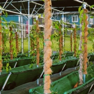 Visitors touring a private farm on Maui island