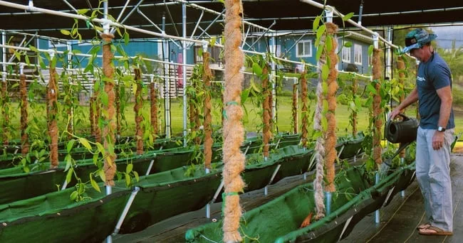 Visitors touring a private farm on Maui island