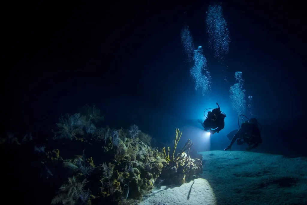 Night dive gear with flashlights ready for use