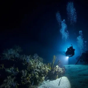 Night dive gear with flashlights ready for use