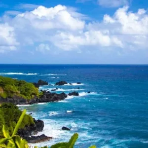 Scenic luxury tour along the famous Road to Hana