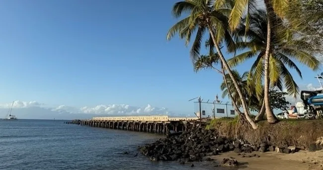 Group enjoying guided shore dive off Maui coast