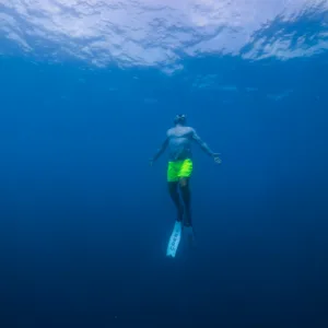Beginner freediving certification course in Hawaii waters