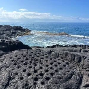 Tour group learning about Hawaiian culture on island tour