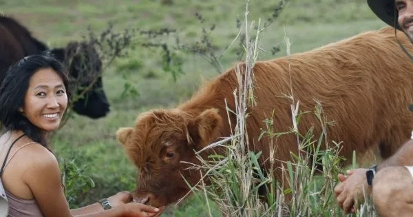 Children interacting with baby animals at Kaua‘i sustainable farm