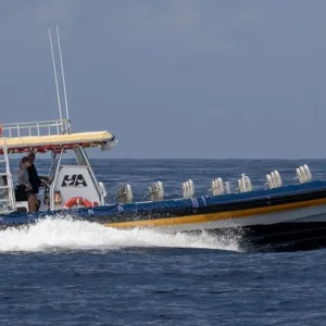 Adventure boat heading out for whale watching
