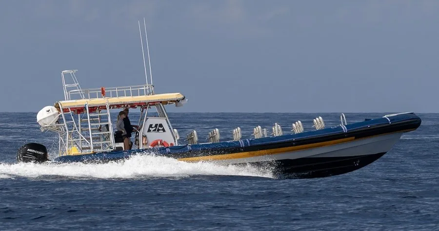 Adventure boat heading out for whale watching