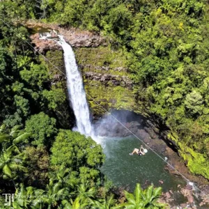 Person ziplining over lush Hawaiian forest