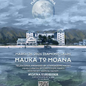 Guests dining together under moonlight at an outdoor event